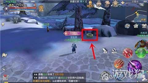 金刚鹦鹉逃生